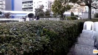 CAND-1212 純系ラビリンス
